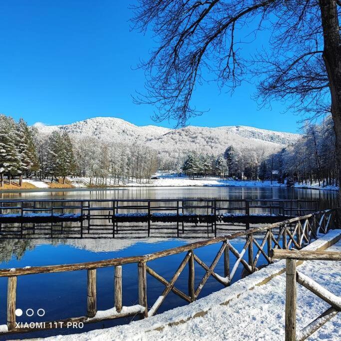 B&B Ammari. Appartamento - Bilocale. Gallico Esterno foto